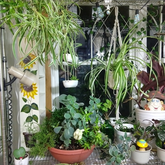 Meet your Posher, Carrie - Picture 6 of 16